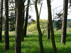 durchblick 2