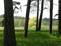 durchblick 1