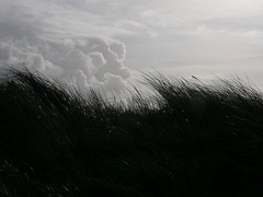 dÃ¼ne